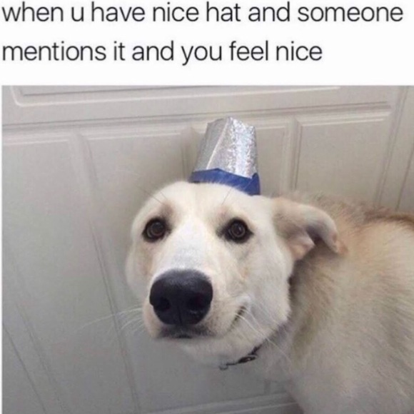 Birthday Sale! 🦋 Katrin Beanie Luxury Item! - Picture 12 of 16